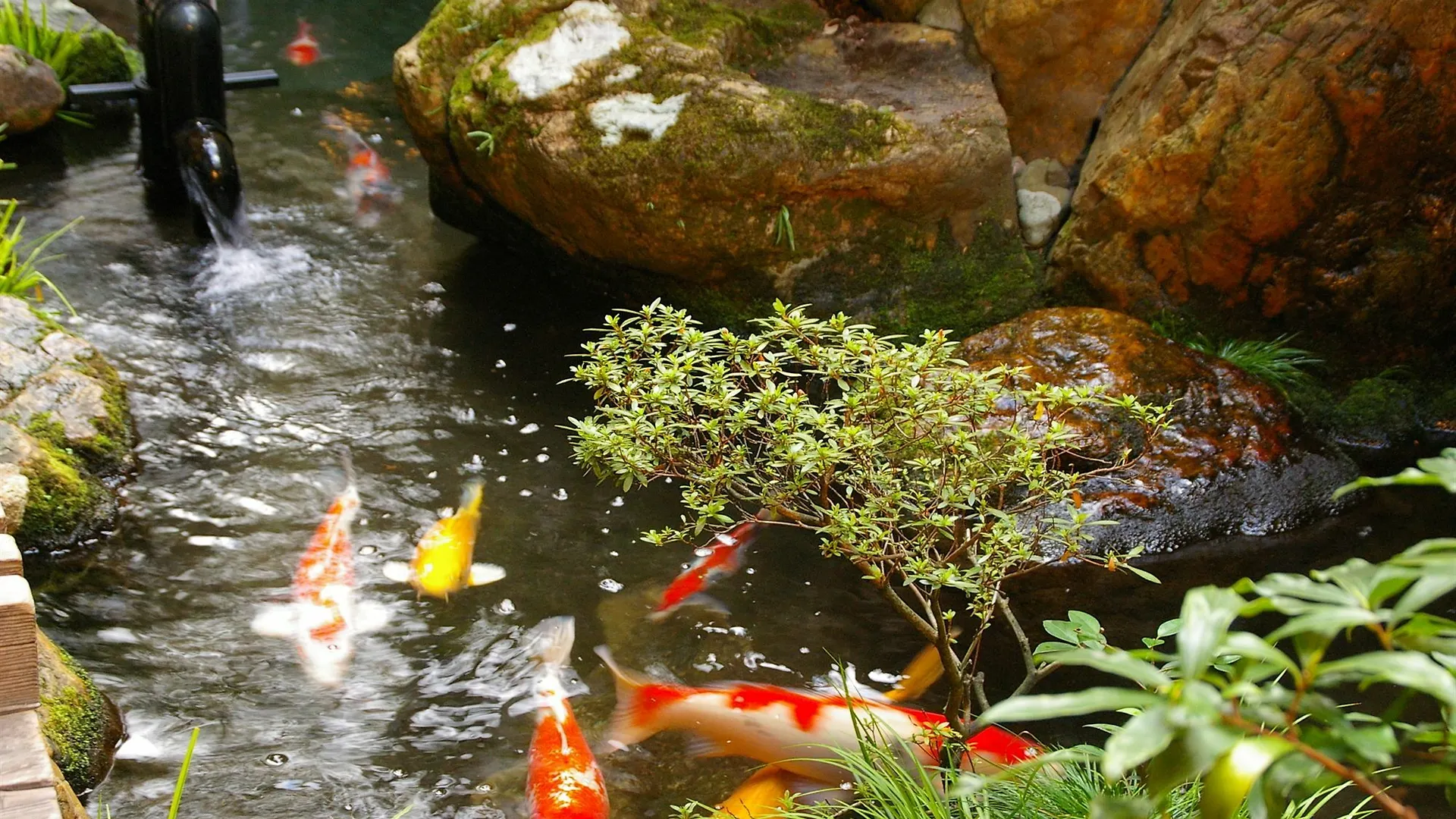 **  Ryokan Sawaya Honten Kyōto Japan